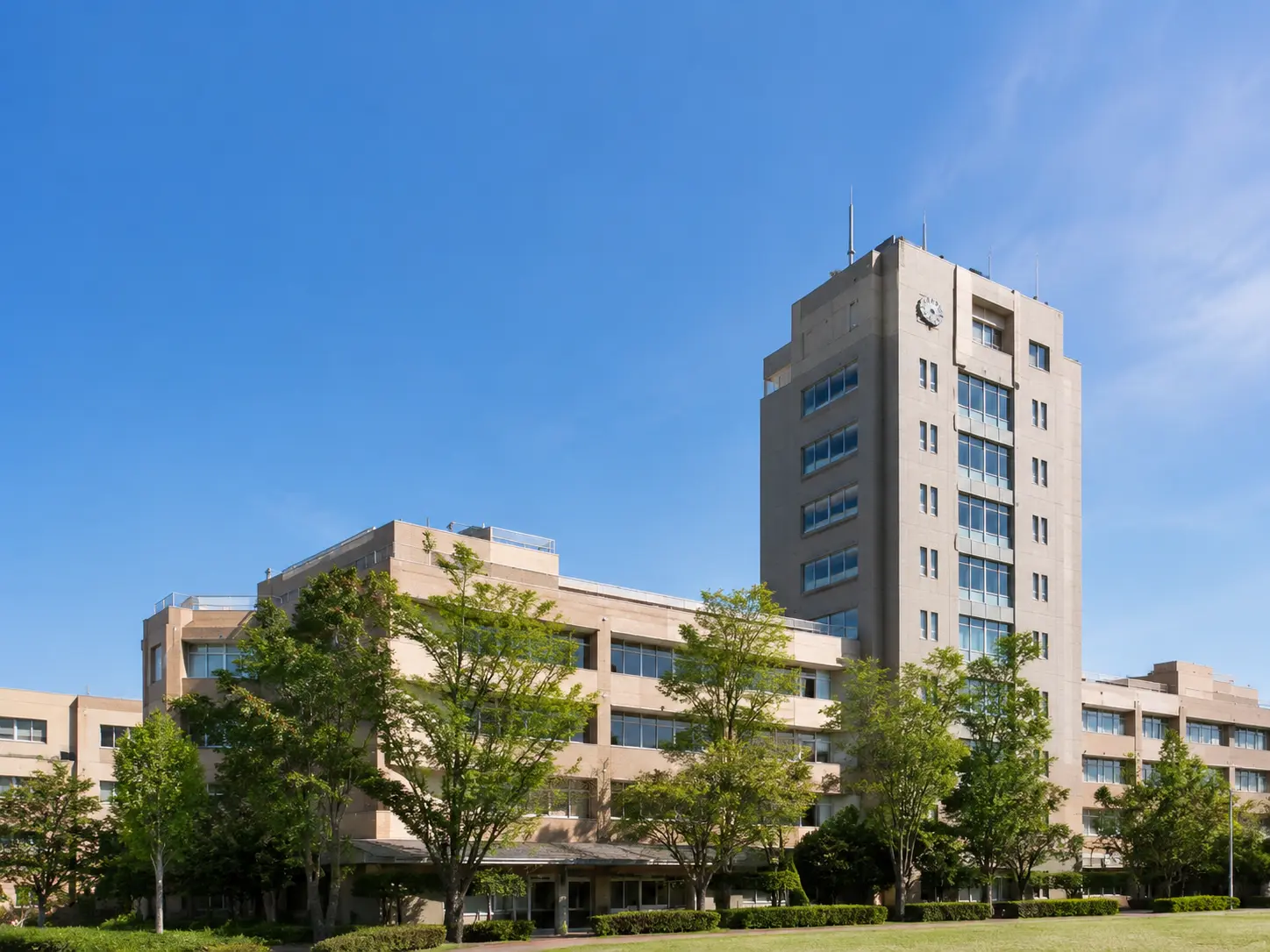 学校